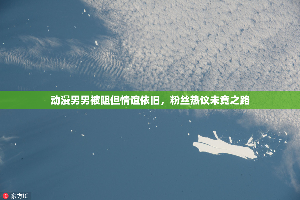 动漫男男被阻但情谊依旧，粉丝热议未竟之路