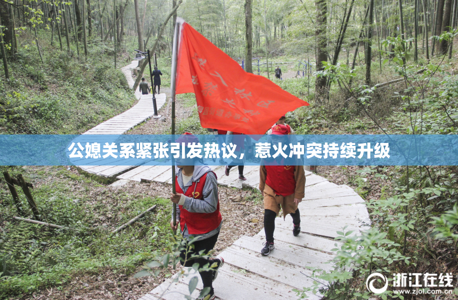 公媳关系紧张引发热议，惹火冲突持续升级