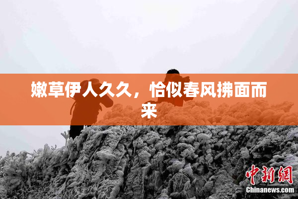 嫩草伊人久久，恰似春风拂面而来