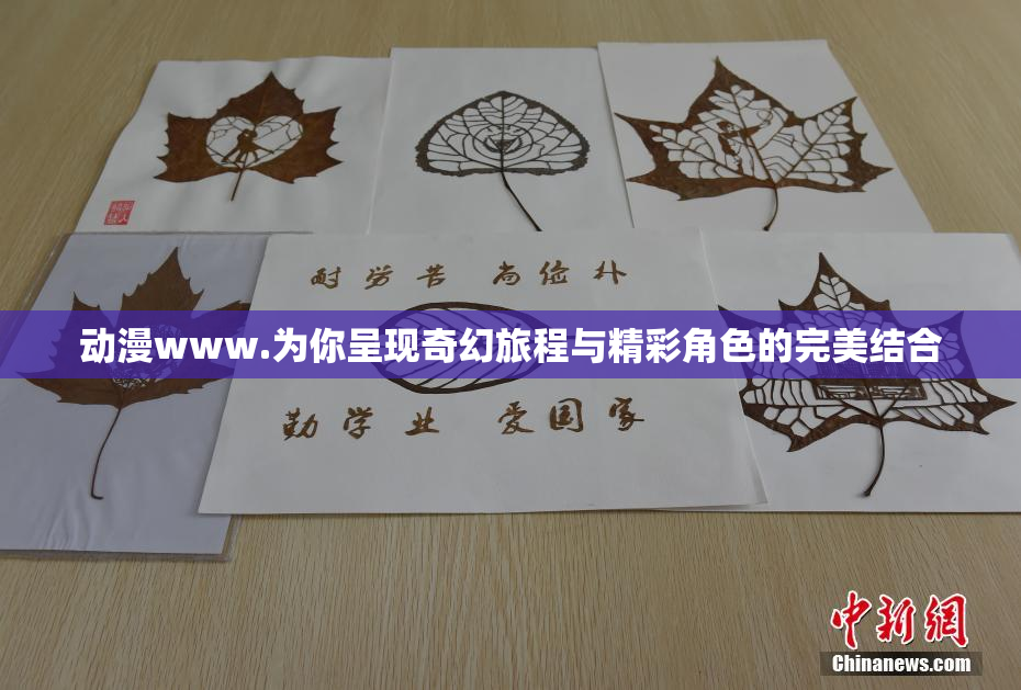 动漫www.为你呈现奇幻旅程与精彩角色的完美结合