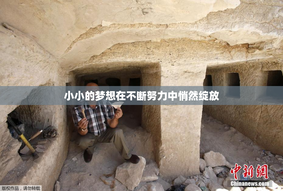 小小的梦想在不断努力中悄然绽放