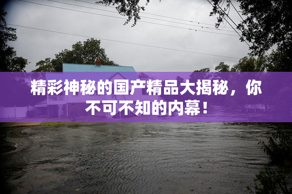 精彩神秘的国产精品大揭秘，你不可不知的内幕！