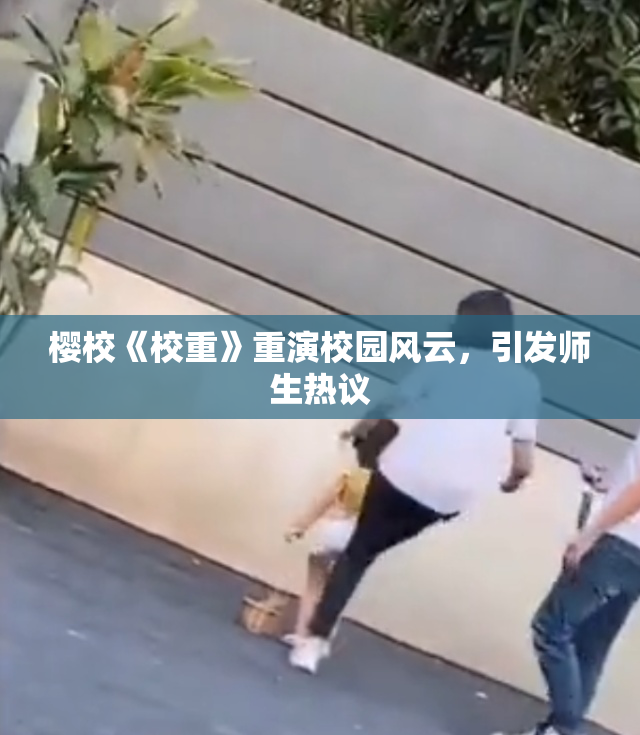 樱校《校重》重演校园风云，引发师生热议