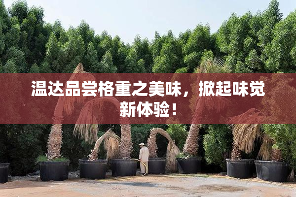 温达品尝格重之美味，掀起味觉新体验！