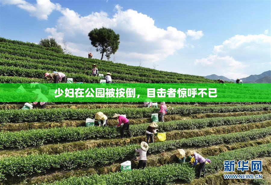 少妇在公园被按倒，目击者惊呼不已