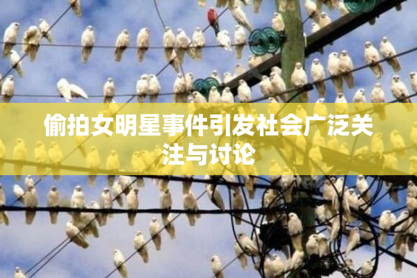 偷拍女明星事件引发社会广泛关注与讨论