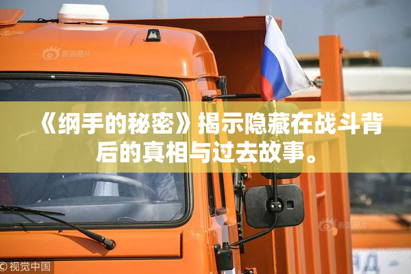 《纲手的秘密》揭示隐藏在战斗背后的真相与过去故事。