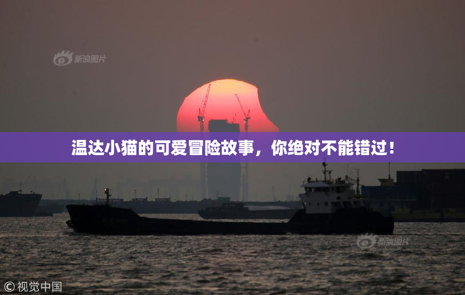 温达小猫的可爱冒险故事，你绝对不能错过！