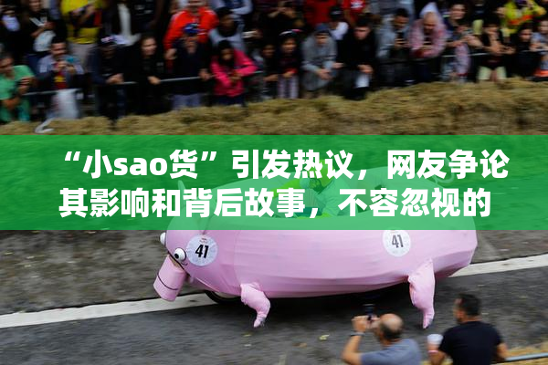“小sao货”引发热议，网友争论其影响和背后故事，不容忽视的文化现象。