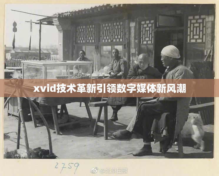 xvid技术革新引领数字媒体新风潮