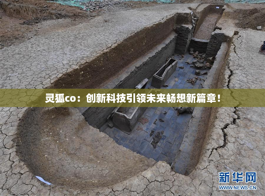 灵狐co：创新科技引领未来畅想新篇章！
