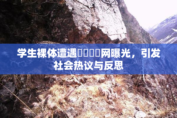 学生裸体遭遇❌‌❌‌网曝光，引发社会热议与反思