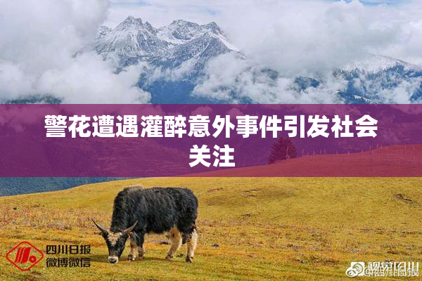 警花遭遇灌醉意外事件引发社会关注