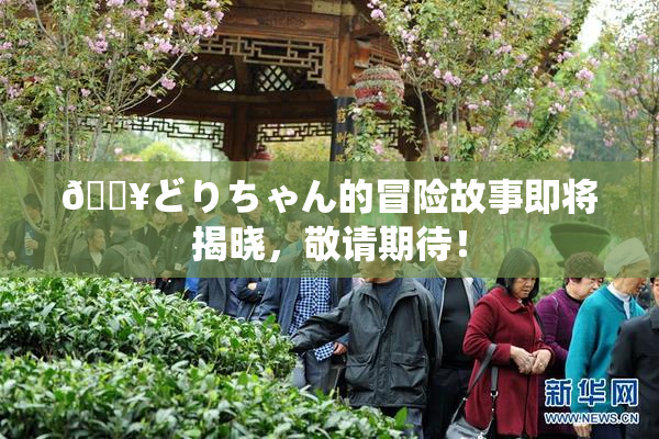 🔥どりちゃん的冒险故事即将揭晓，敬请期待！