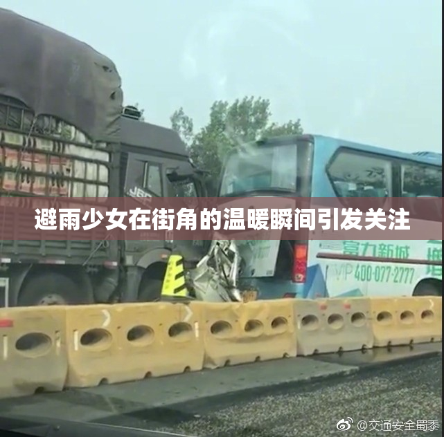 避雨少女在街角的温暖瞬间引发关注