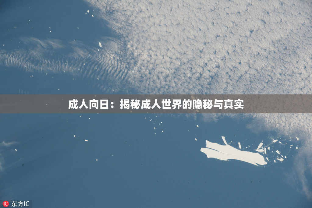 成人向日：揭秘成人世界的隐秘与真实