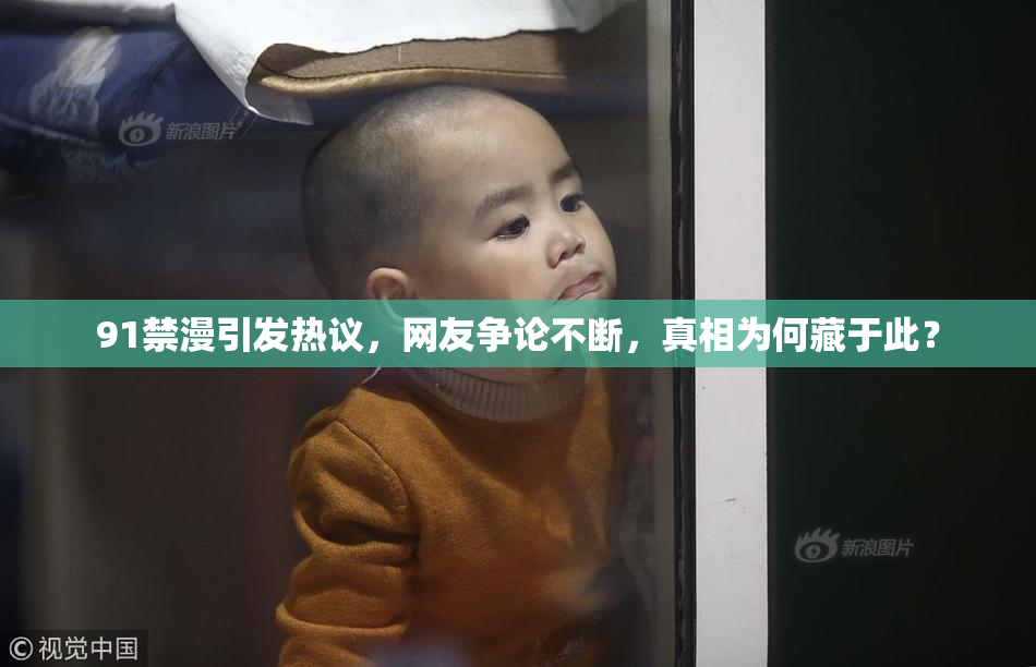 91禁漫引发热议，网友争论不断，真相为何藏于此？