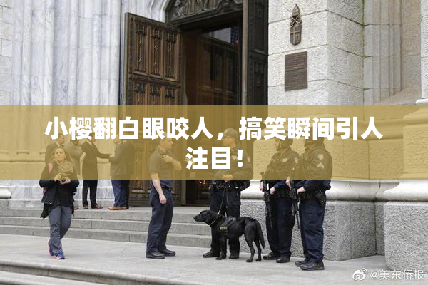 小樱翻白眼咬人，搞笑瞬间引人注目！