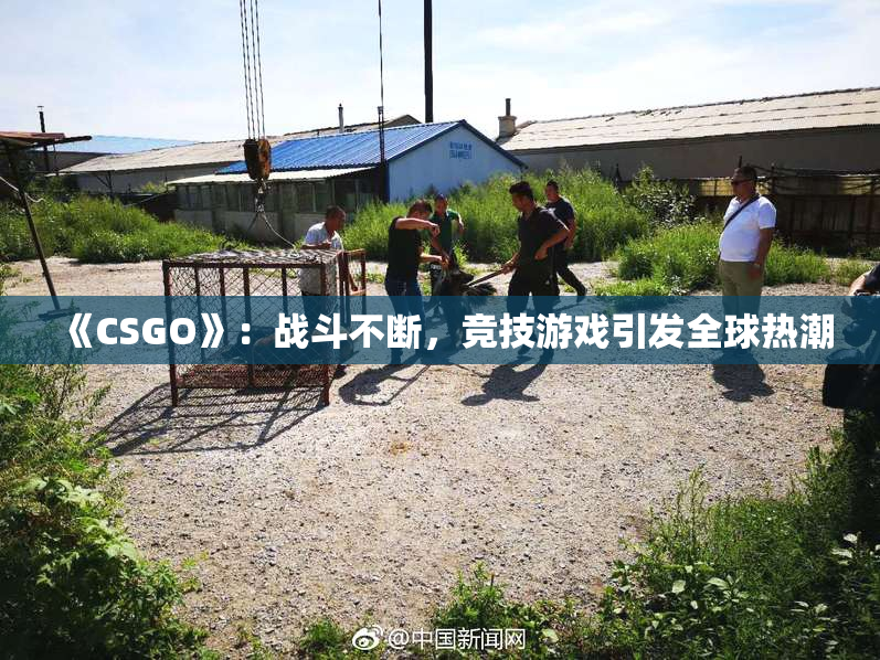 《CSGO》：战斗不断，竞技游戏引发全球热潮