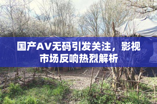 国产AV无码引发关注，影视市场反响热烈解析