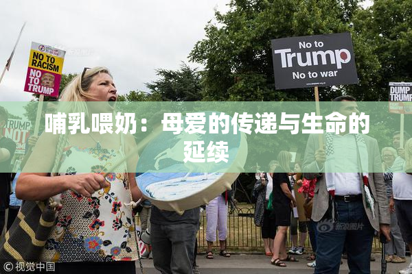 哺乳喂奶：母爱的传递与生命的延续