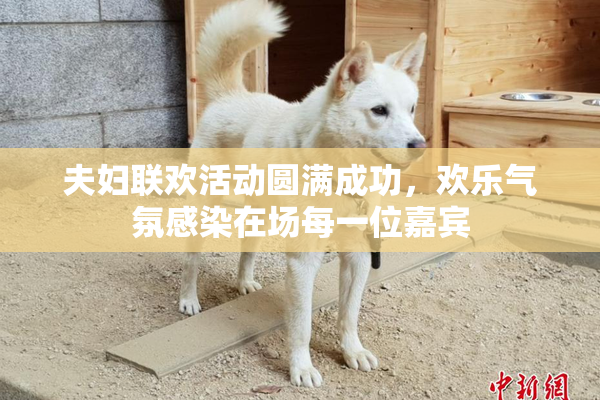 夫妇联欢活动圆满成功，欢乐气氛感染在场每一位嘉宾