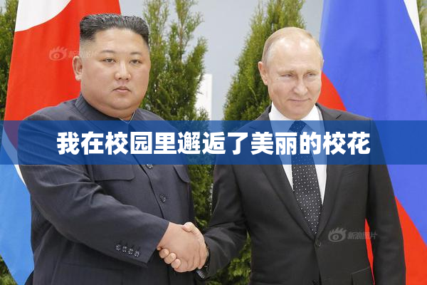 我在校园里邂逅了美丽的校花