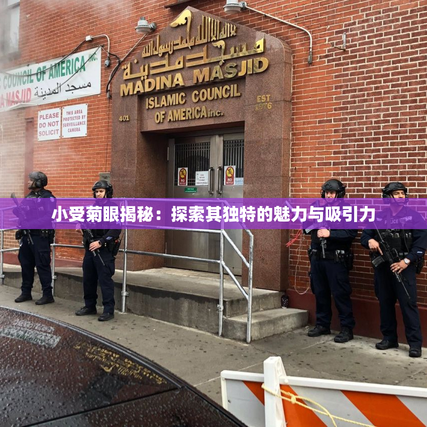 小受菊眼揭秘：探索其独特的魅力与吸引力