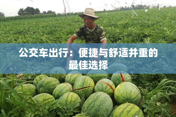 公交车出行：便捷与舒适并重的最佳选择
