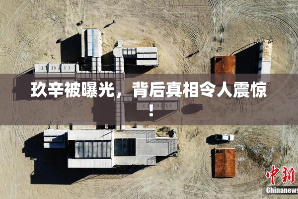 玖辛被曝光，背后真相令人震惊！