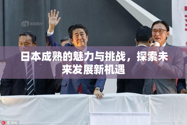 日本成熟的魅力与挑战，探索未来发展新机遇