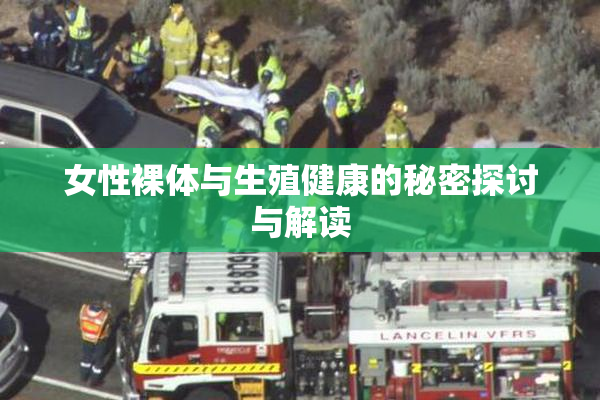 女性裸体与生殖健康的秘密探讨与解读