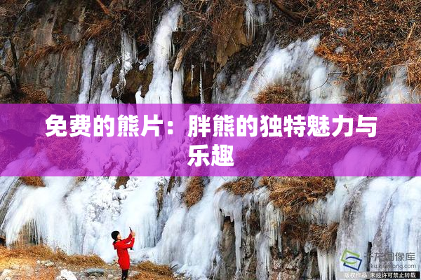 免费的熊片：胖熊的独特魅力与乐趣