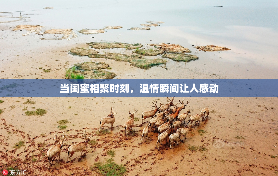 当闺蜜相聚时刻，温情瞬间让人感动
