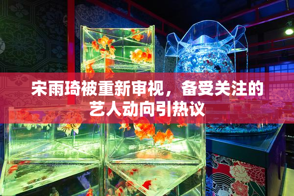 宋雨琦被重新审视，备受关注的艺人动向引热议