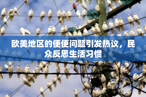 欧美地区的便便问题引发热议，民众反思生活习惯