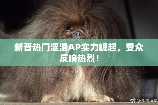 新晋热门涩漫AP实力崛起，受众反响热烈！