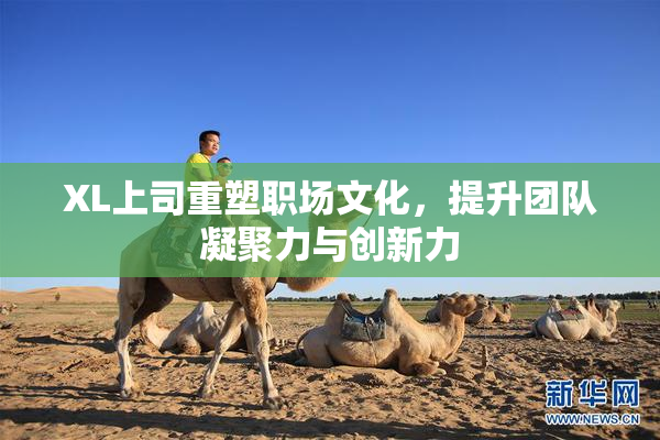 XL上司重塑职场文化，提升团队凝聚力与创新力