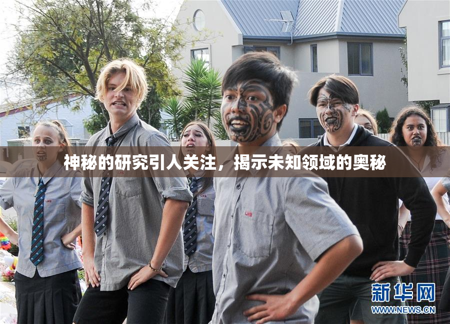 神秘的研究引人关注，揭示未知领域的奥秘