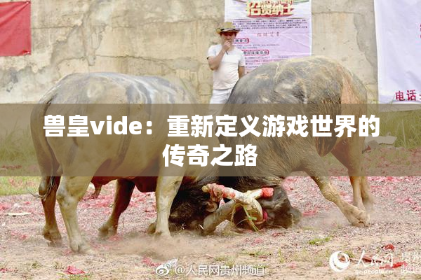兽皇vide：重新定义游戏世界的传奇之路