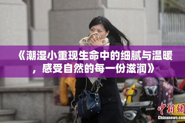 《潮湿小重现生命中的细腻与温暖，感受自然的每一份滋润》