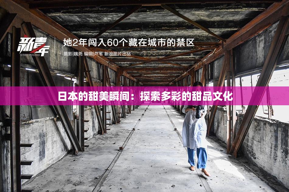 日本的甜美瞬间：探索多彩的甜品文化