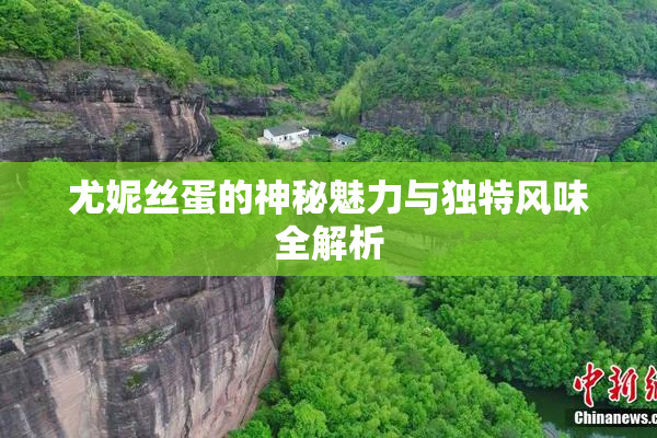 尤妮丝蛋的神秘魅力与独特风味全解析