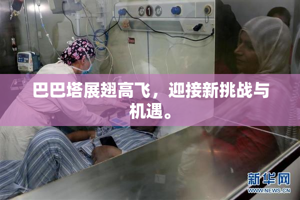 巴巴塔展翅高飞，迎接新挑战与机遇。