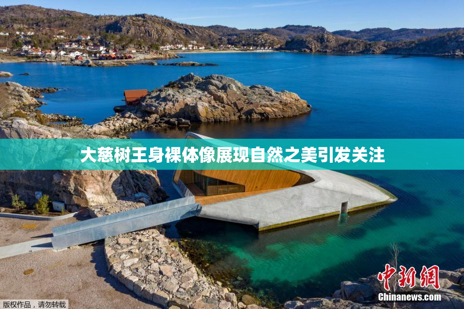 大慈树王身裸体像展现自然之美引发关注