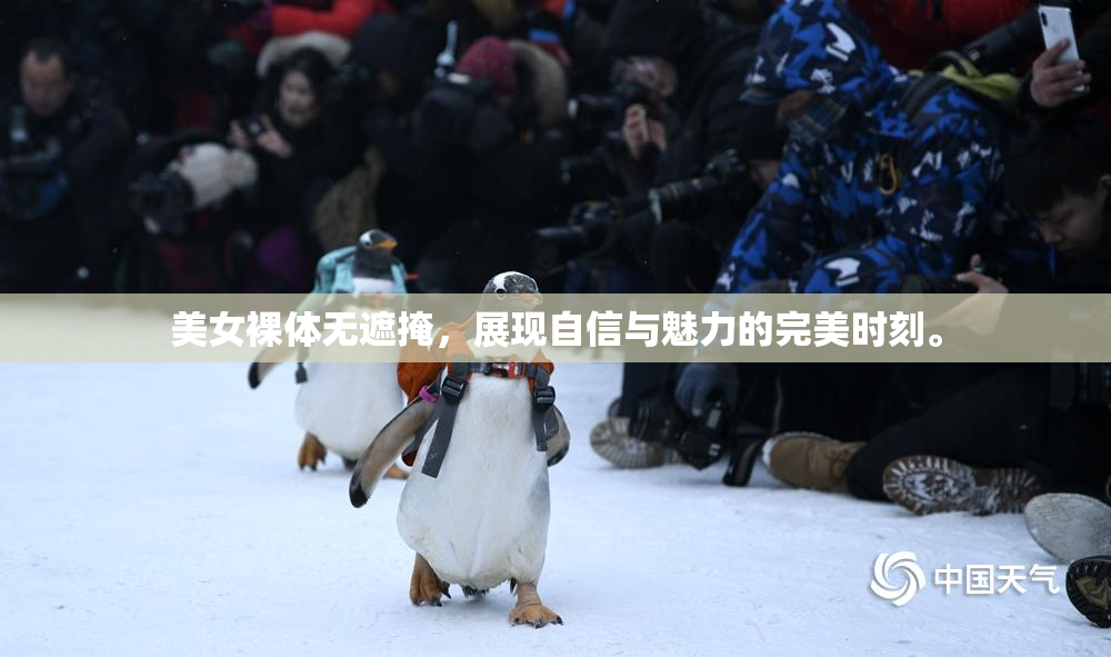 美女裸体无遮掩，展现自信与魅力的完美时刻。