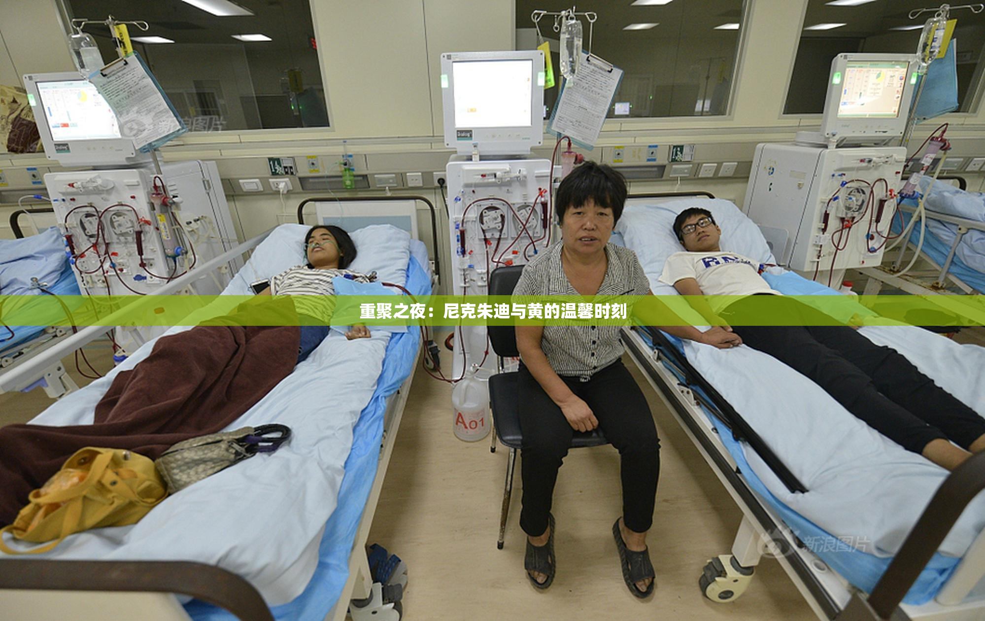 重聚之夜：尼克朱迪与黄的温馨时刻