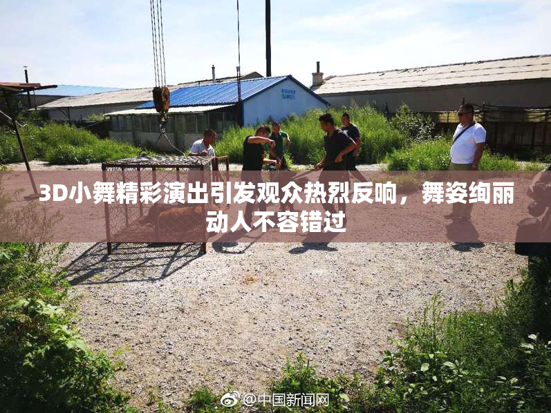 3D小舞精彩演出引发观众热烈反响，舞姿绚丽动人不容错过