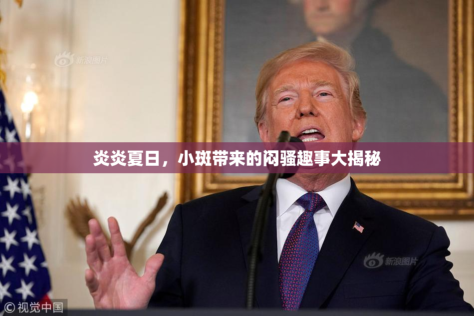 炎炎夏日，小斑带来的闷骚趣事大揭秘