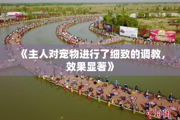 《主人对宠物进行了细致的调教，效果显著》